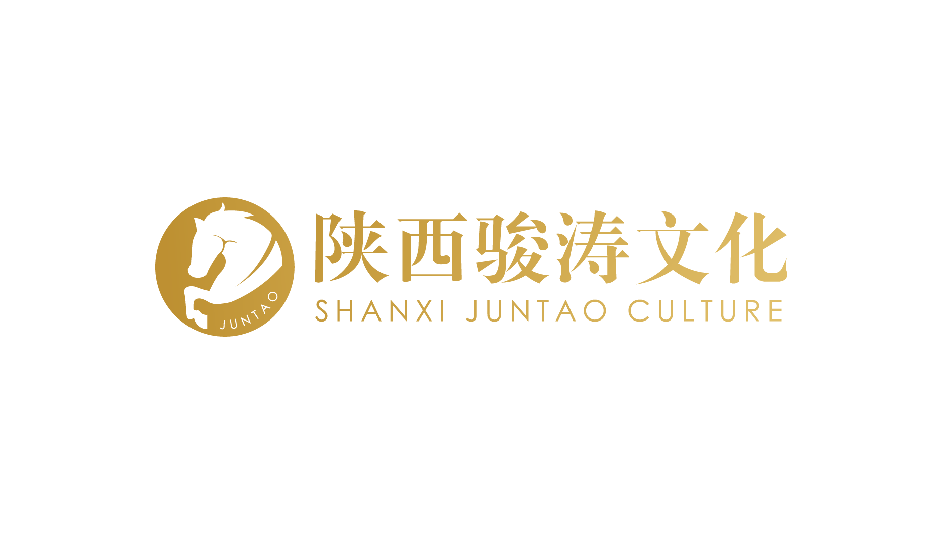 陕西骏涛文化发展有限公司的logo