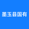 墨玉县国有资产投资经营管理有限责任公司logo