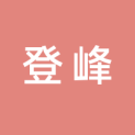 南京登峰文化传播有限公司logo