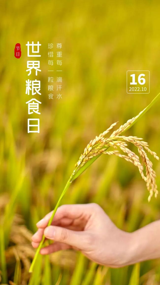 世界粮食日文案海报|为粮食发言