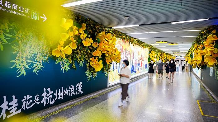 网易严选沉浸式地铁艺术展：桂花是杭州的浪漫