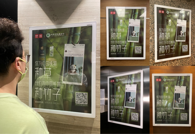 名创优品×中国绿化基金会：把全世界种的草变成了竹子