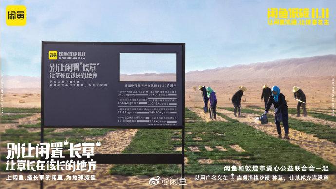 闲鱼闲置到“长草”了？！