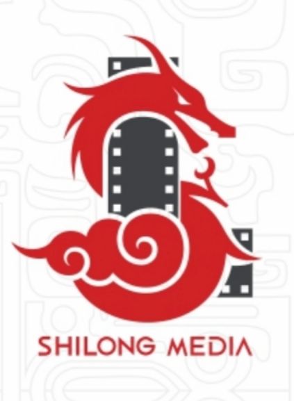 成都视龙广告传媒有限责任公司的logo