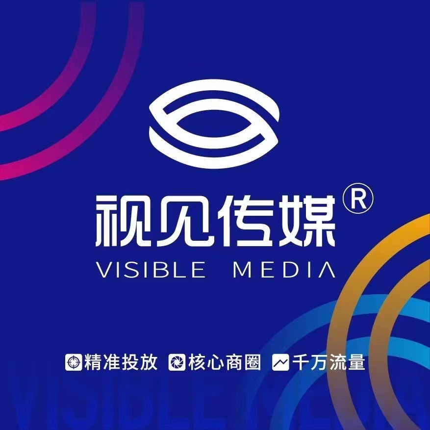 山东视见传媒有限公司的logo