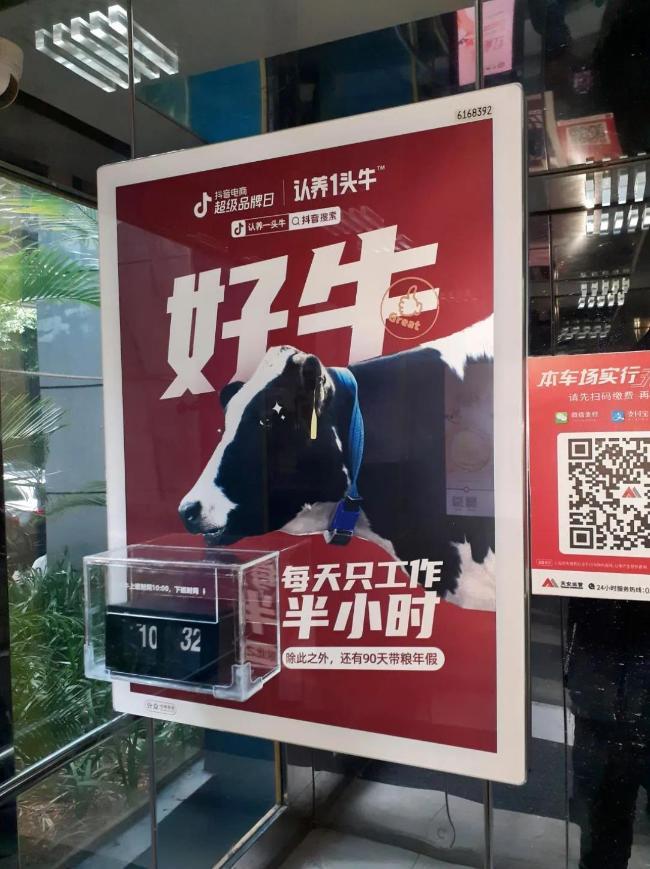 乳业网红品牌，认养一头牛的养成记