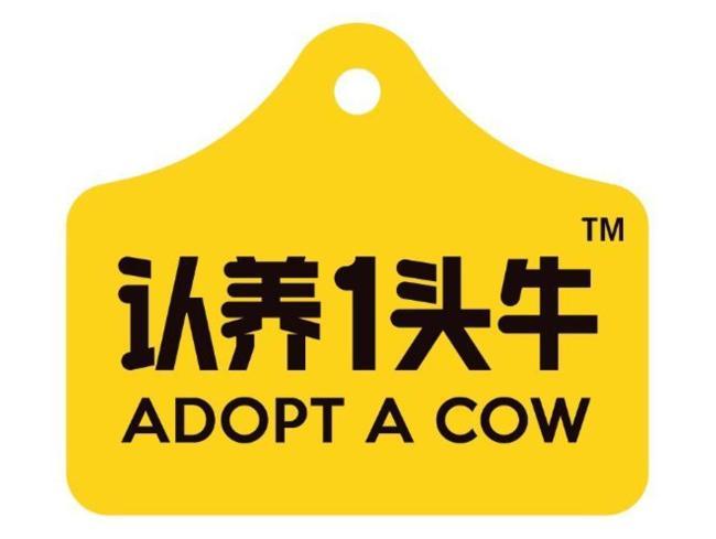 乳业网红品牌，认养一头牛的养成记