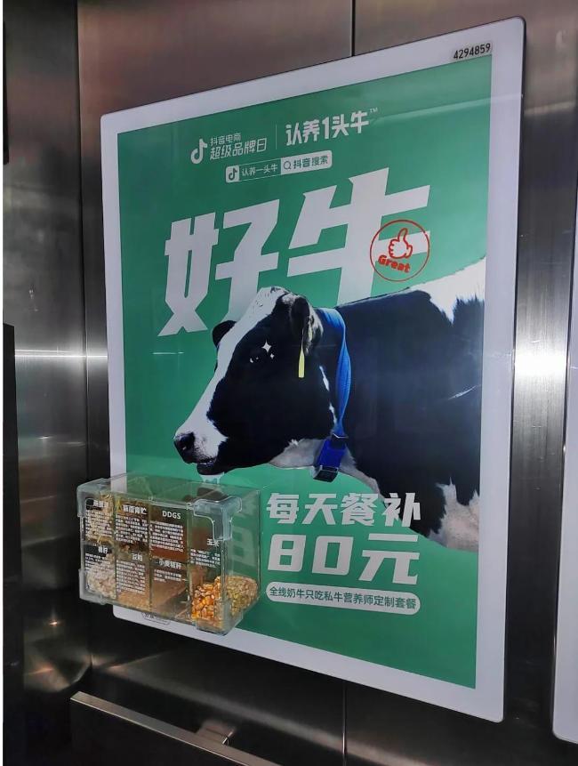 乳业网红品牌，认养一头牛的养成记