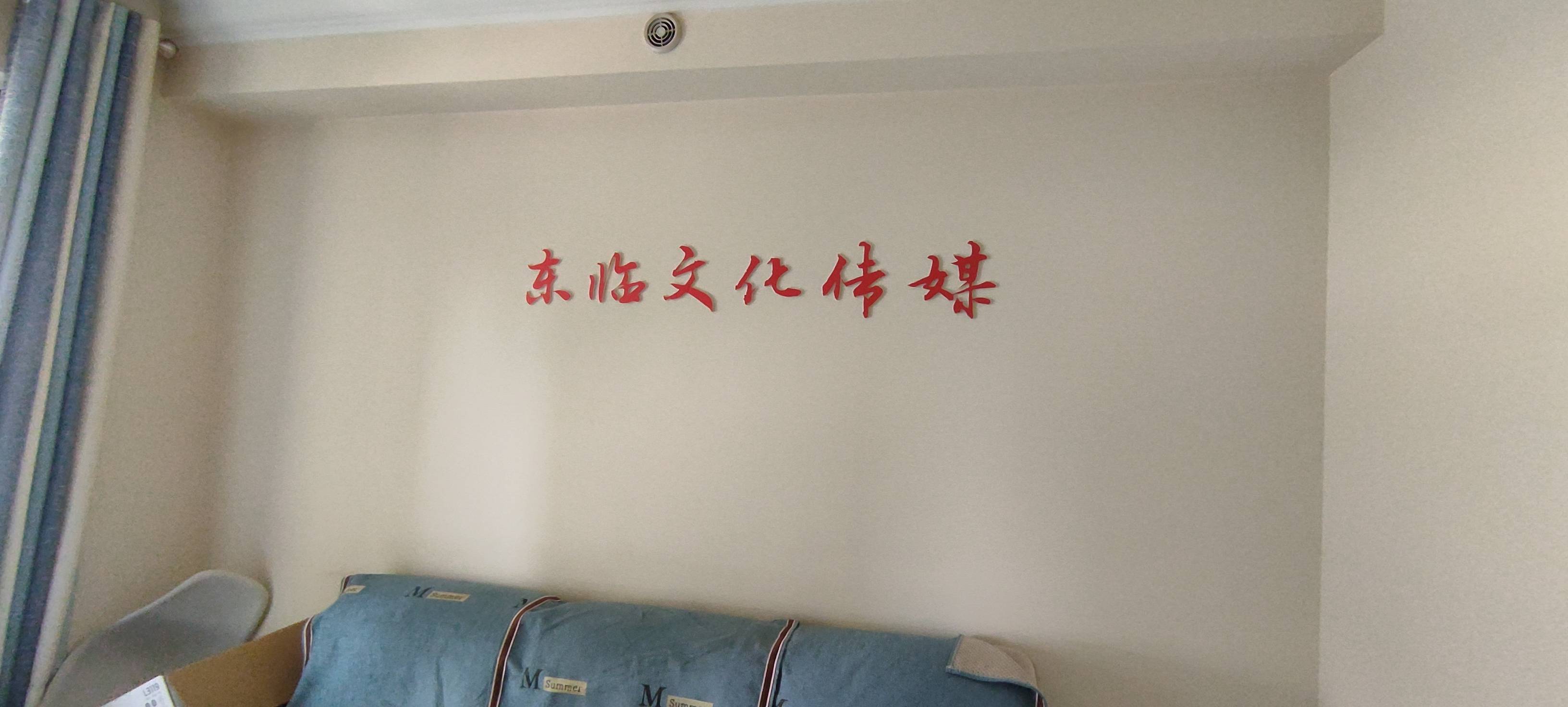 秦皇岛东临文化传媒有限公司的logo