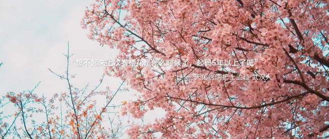 网易严选樱花季：一切如常，才是生活理想！