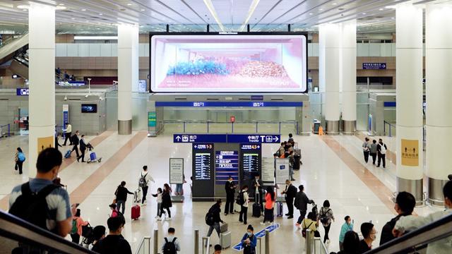机场也有会动的浪漫花园？ 裸眼3D数字花园《绽放之窗》亮相广州白云和上海浦东及虹桥机场