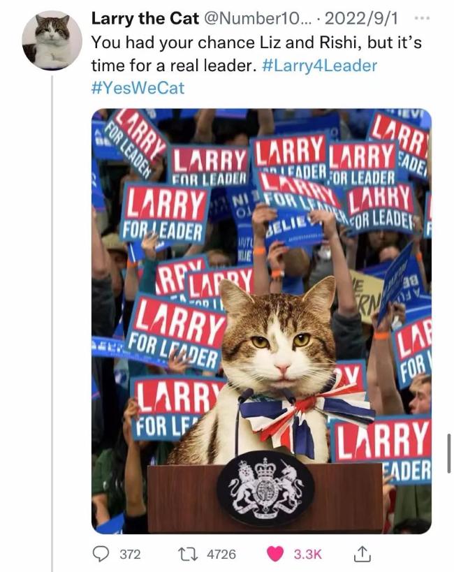 你见过一只猫竞选首相吗？