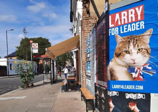 你见过一只猫竞选首相吗？