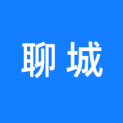 中国电信股份有限公司聊城分公司logo