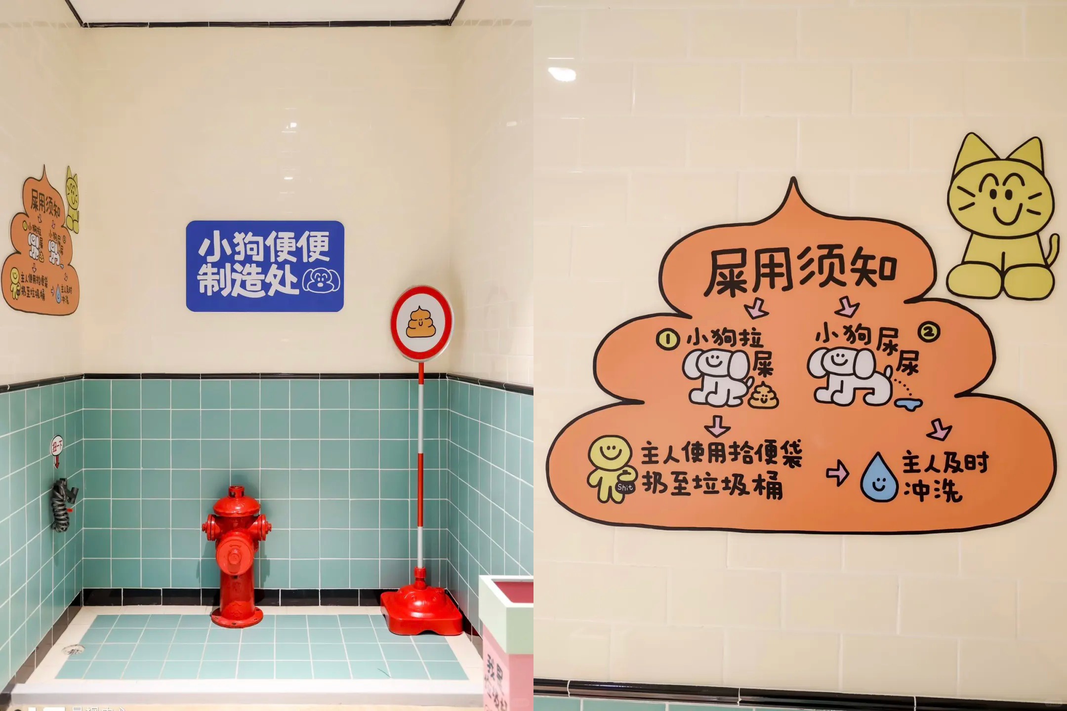 商场里都有宠物卫生间了？