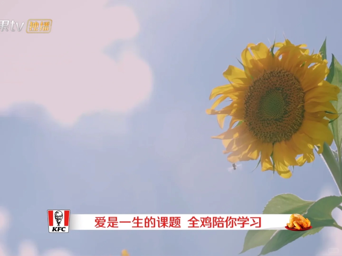 肯德基接《再见爱人 4》泼天流量