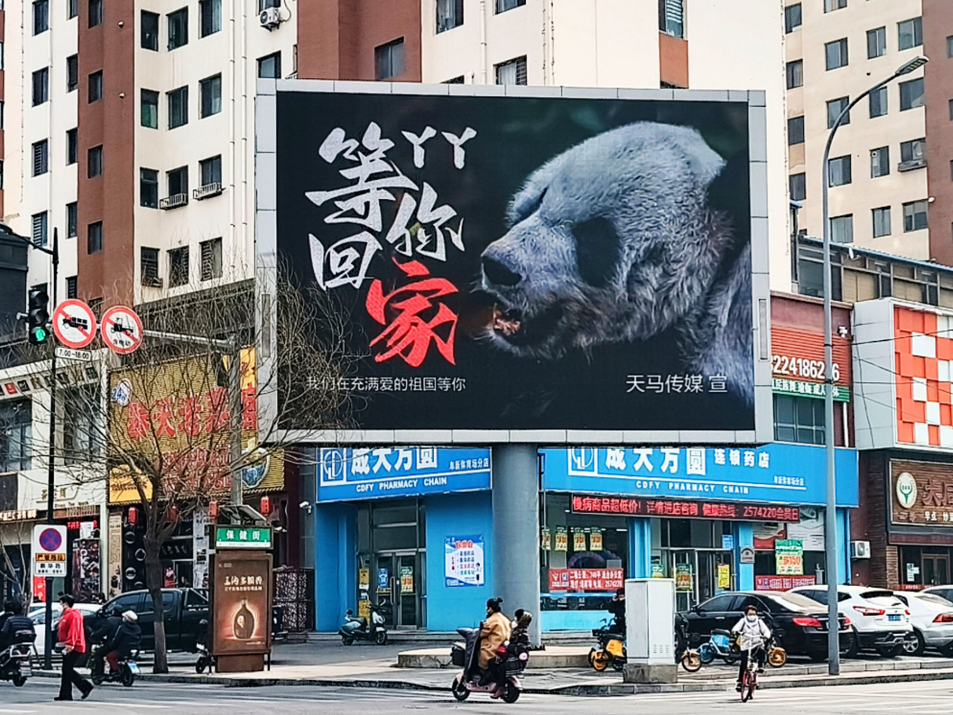 熊猫丫丫回国公益广告