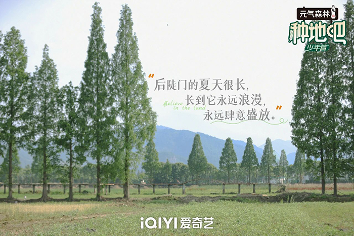 假期将至，24句文案，带你提前跃入旷野