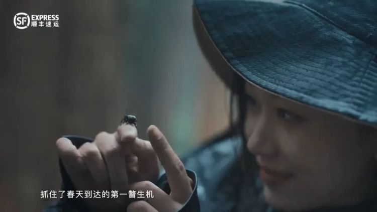 假期将至，24句文案，带你提前跃入旷野
